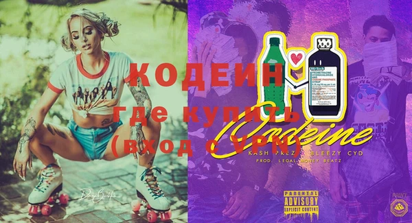 apvp Бородино