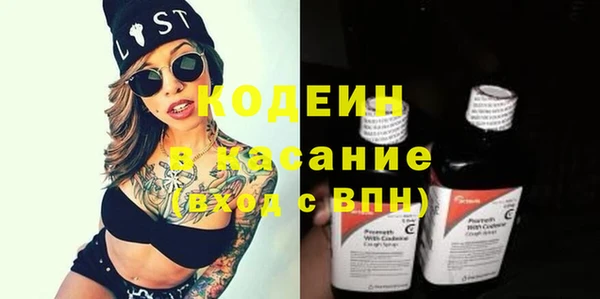 молекула духа Богданович