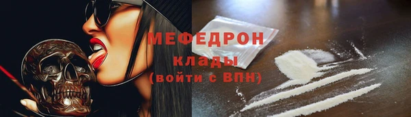 молекула духа Богданович