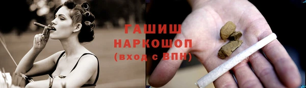 индика Бронницы