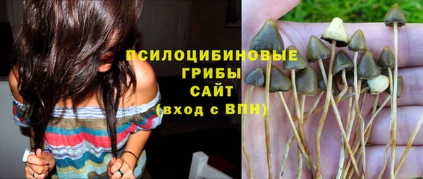 индика Бронницы