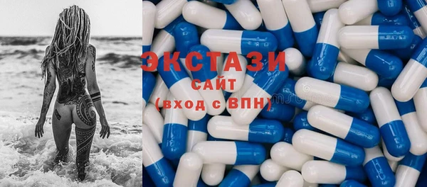 индика Бронницы