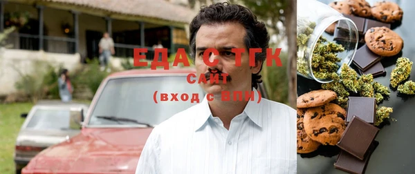 индика Бронницы