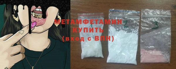 индика Бронницы