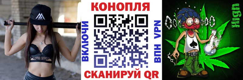 Конопля Ganja  Первомайск 